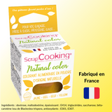 Colorant alimentaire en poudre pour décoration gâteau